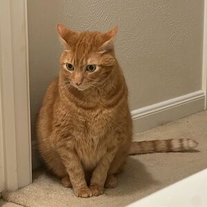 Meet your Posher, Keely